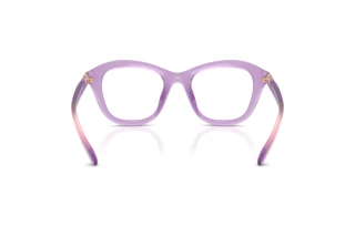 Vue arrière Swarovski SK2042U (1075)