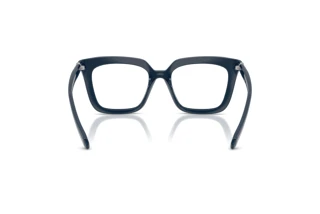 Vue arrière Swarovski SK2043 (1004)