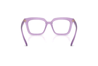 Vue arrière Swarovski SK2043 (1075)