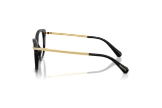 Vue latérale Swarovski SK2044 (1001)