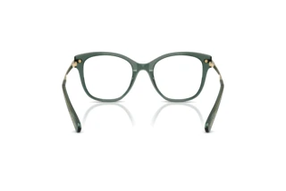 Vue arrière Swarovski SK2044 (1043)