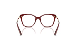 Vue arrière Swarovski SK2044 (1073)