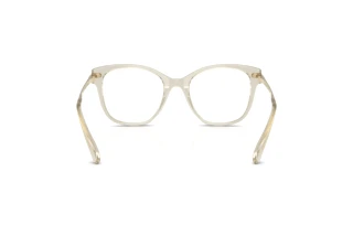 Vue arrière Swarovski SK2044 (3003)