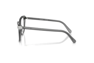 Vue latérale Swarovski SK2045 (1072)