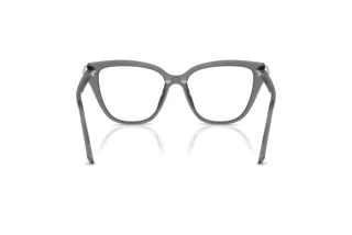 Vue arrière Swarovski SK2045 (1072)