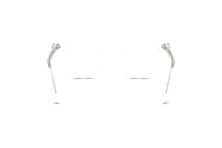 Vue arrière Swarovski SK2046 (1027)