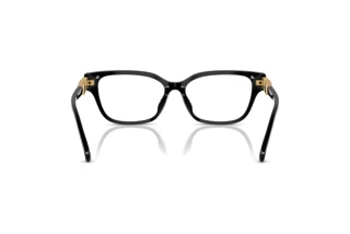 Vue arrière Swarovski SK2049D (1001)