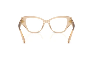 Vue arrière Swarovski SK2050U (1034)