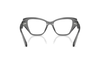 Vue arrière Swarovski SK2050U (1072)