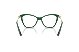 Vue arrière Swarovski SK2051 (1045)