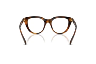 Vue arrière Swarovski SK2052 (1002)