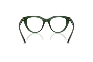 Vue arrière Swarovski SK2052 (1043)