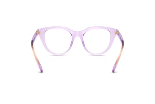 Vue arrière Swarovski SK2052 (1079)