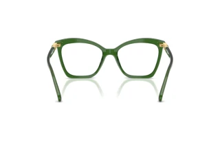 Vue arrière Swarovski SK2053 (1081)