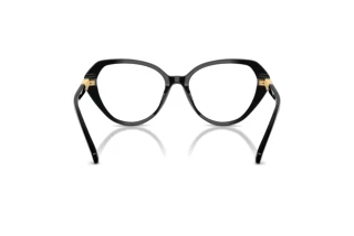 Vue arrière Swarovski SK2054 (1001)