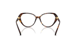 Vue arrière Swarovski SK2054 (1002)