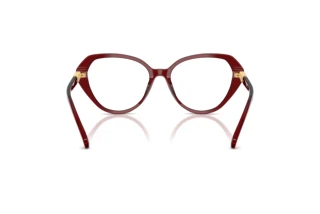 Vue arrière Swarovski SK2054 (1073)