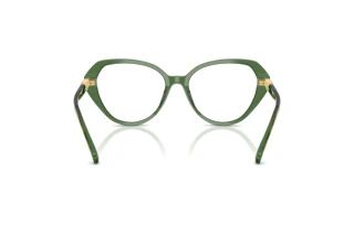 Vue arrière Swarovski SK2054 (1085)