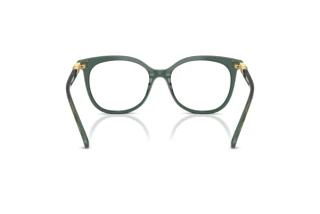 Vue arrière Swarovski SK2055 (1043)