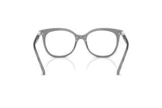 Vue arrière Swarovski SK2055 (1062)