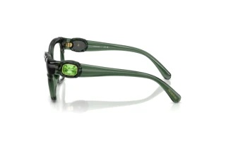 Vue latérale Swarovski SK2056U (1043)