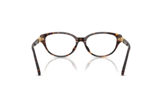 Vue arrière Swarovski SK2058D (1002)