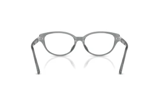 Vue arrière Swarovski SK2058D (1062)