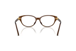 Vue arrière Swarovski SK2058D (1084)