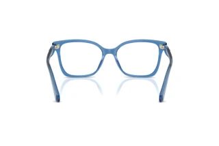 Vue arrière Swarovski SK2061 (1100)