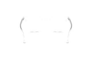 Vue arrière Swarovski SK2064 (1027)