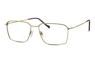 TITANFLEX EBT 820927 20 gold