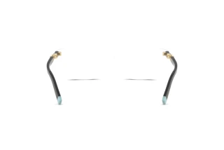 Vue arrière Tiffany TF2229 (8047)