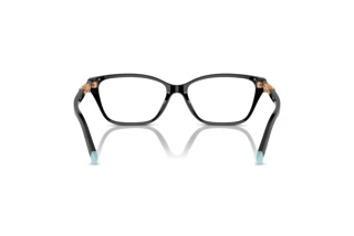 Vue arrière Tiffany TF2229 (8420)