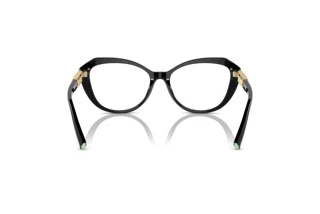 Vue arrière Tiffany TF2241B (8001)