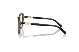 Vue latérale Tiffany TF2242 (8256)