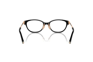 Vue arrière Tiffany TF2252D (8420)