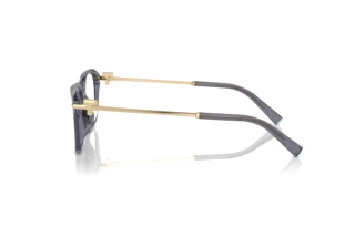 Vue latérale Tiffany TF2253D (8405)