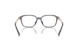 Vue arrière Tiffany TF2253D (8405)