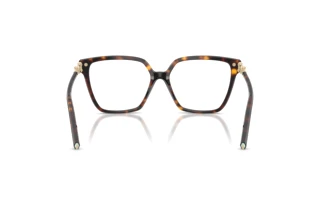 Vue arrière Tiffany TF2290BU (8015)