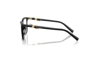 Vue latérale Tiffany TF2296U (8001)