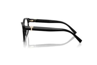 Vue latérale Tiffany TF2302B (8001)