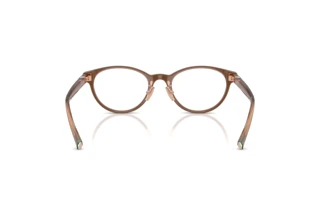 Vue arrière Tiffany TF2306D (8255)