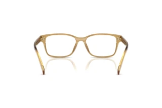 Vue arrière Tory Burch TY2151U (2006)