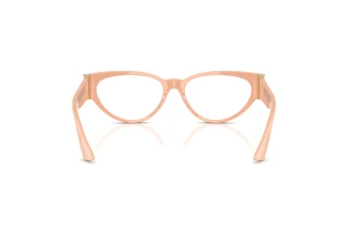 Vue arrière Versace VE3366 (5494)