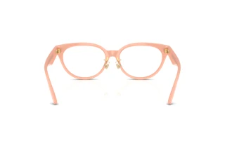 Vue arrière Versace VE3370D (5497)