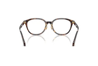 Vue arrière Versace VE3379D (108)