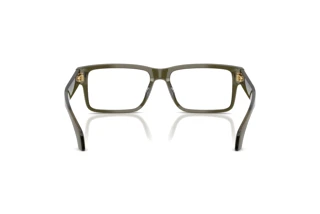 Vue arrière Versace VE3391U (5542)