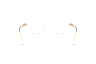Vue arrière Versace VE3393D (148)