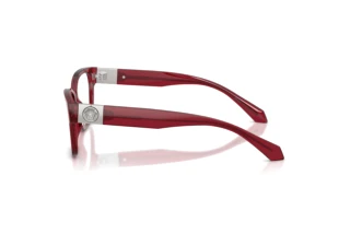 Vue latérale Versace VE3401U (388)