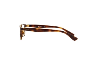 Vue latérale Vogue Eyewear VO5024D (W656)